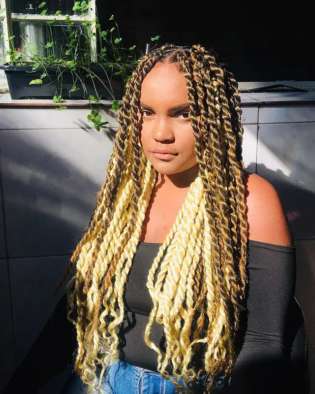 70 Twist Braid Styles for 2022 That look Absolutely Stunning